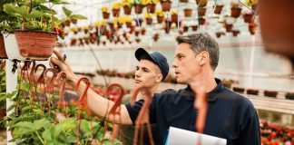 Are you an entrepreneur with a green thumb? Here are 20 small business ideas to explore Discover small business ideas tailored for green-thumbed entrepreneurs, that merge nature's beauty with business opportunities.